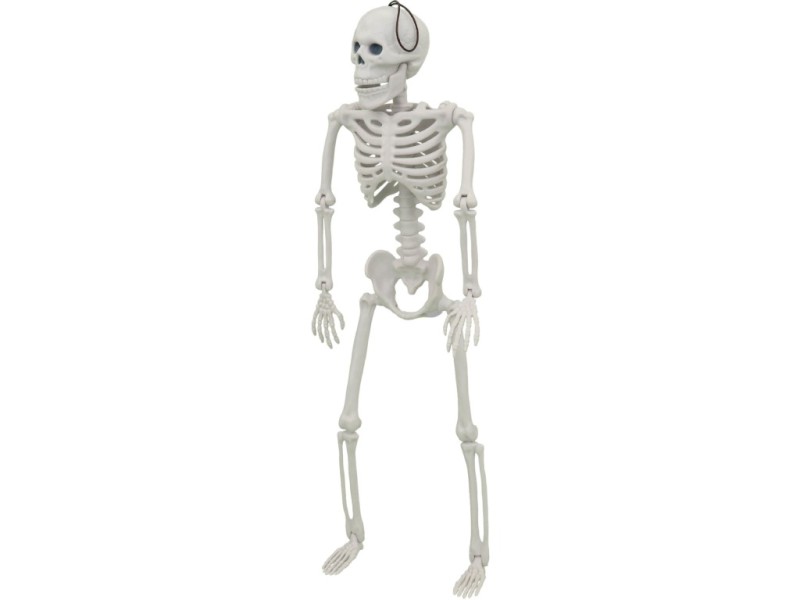 Kostlivec, 40 x 13 x 5 cm