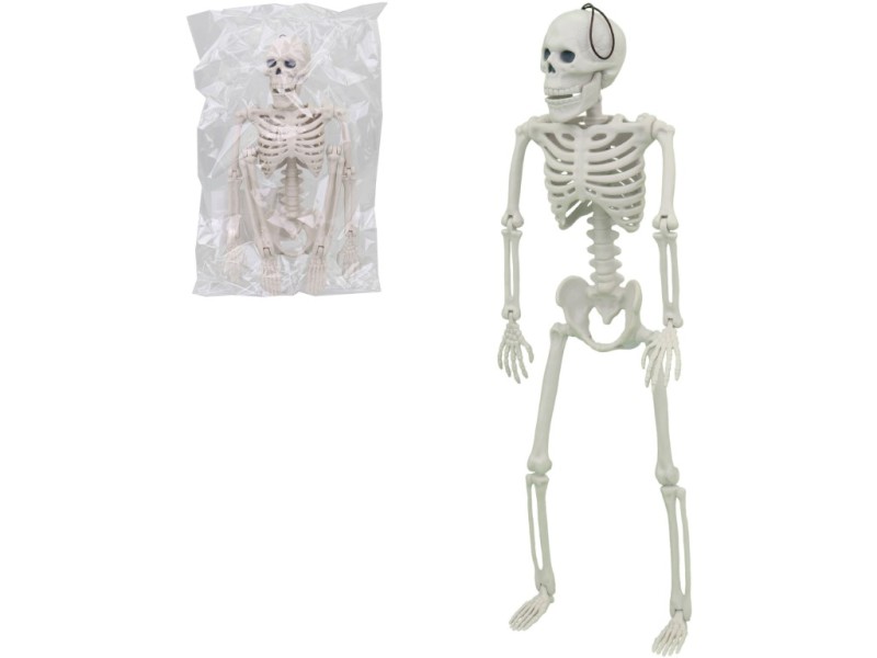 Kostlivec, 40 x 13 x 5 cm