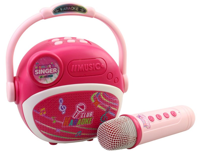 Mikrofon na baterie, 19 x 8,5 x 16cm